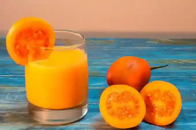 JUGO TOMATE DE ÁRBOL
